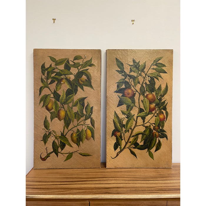 Vintage Pair of Citrus Artwork on Canvas