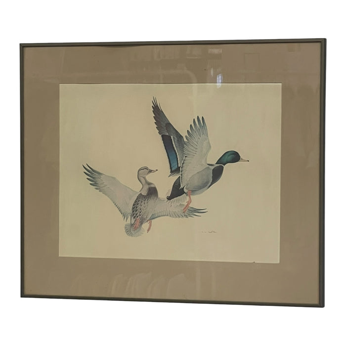 Vintage Framed Waterfowl Bird Print of Flying Ducks, Wildlife Wall Art