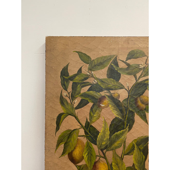 Vintage Pair of Citrus Artwork on Canvas