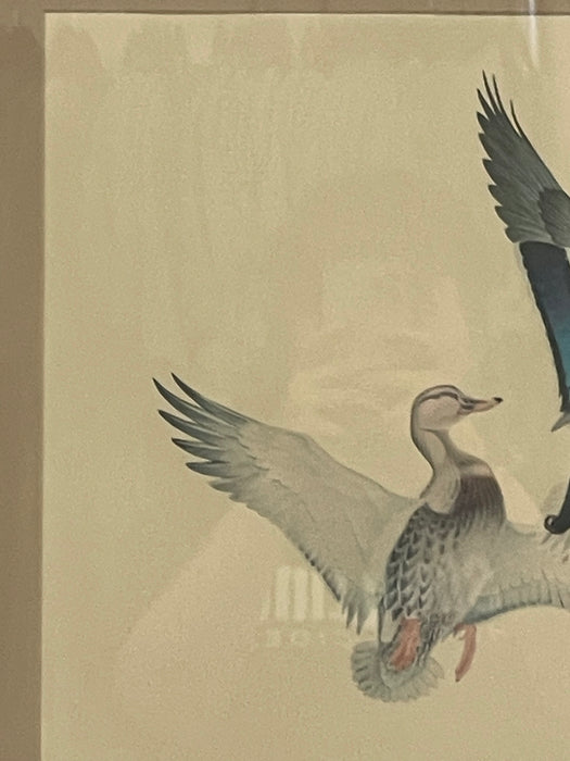 Vintage Framed Waterfowl Bird Print of Flying Ducks, Wildlife Wall Art