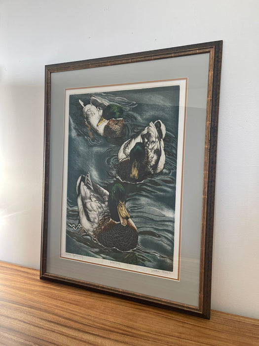 Vintage Framed Art Print Titled “ Drakes Approaching “ by Suellen Ross- Artist Proof Edition.