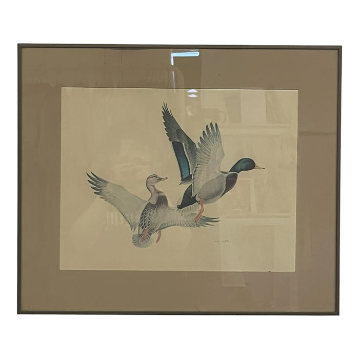 Vintage Framed Waterfowl Bird Print of Flying Ducks, Wildlife Wall Art