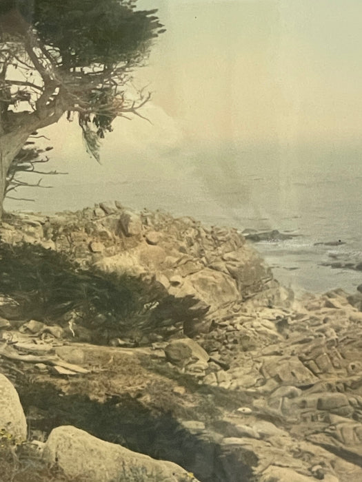 Vintage Framed Tinted Coastal Landscape Photograph of Cypress Trees on Rocky Shoreline