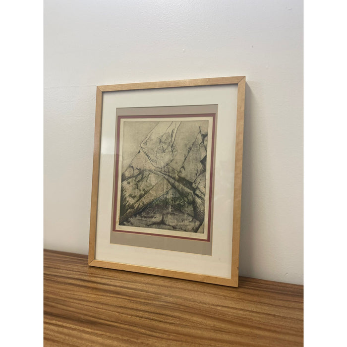 Vintage Framed Signed and Numbered Abstract Print.