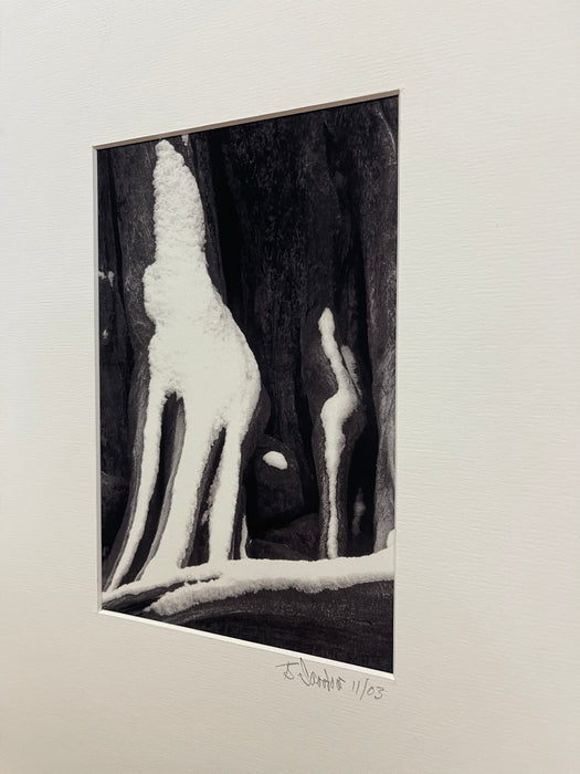Signed Black and White Photograph "Howling Wolfe" Snow Tree Stump Illusion,
North Bend WA, Dated 2003.