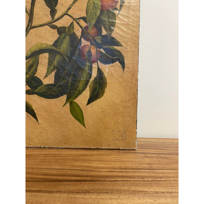 Vintage Pair of Citrus Artwork on Canvas