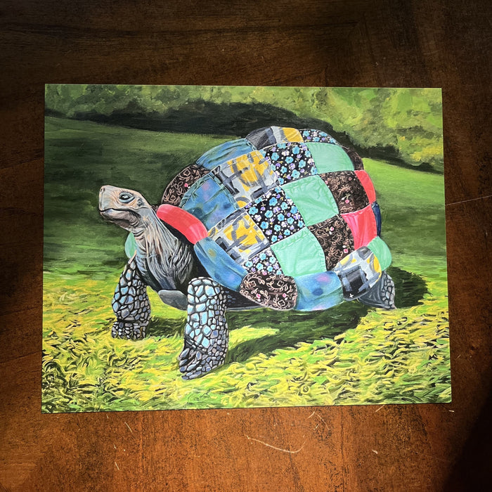 A Patchwork Tortoise