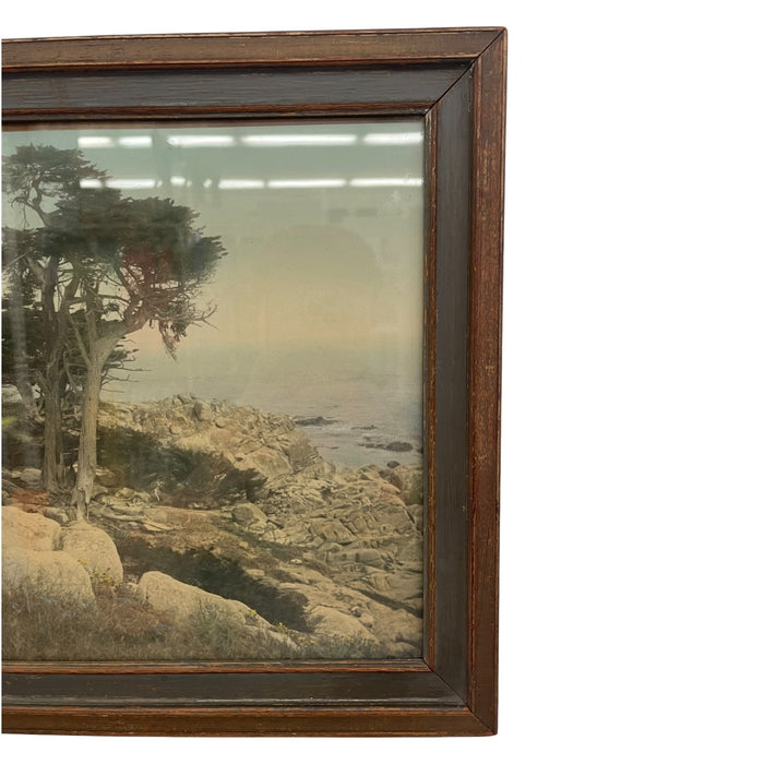 Vintage Framed Tinted Coastal Landscape Photograph of Cypress Trees on Rocky Shoreline