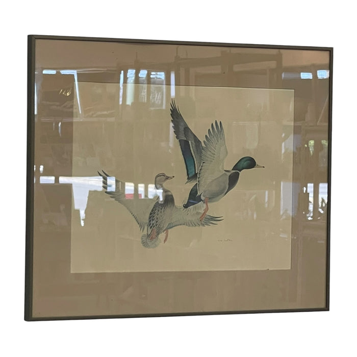 Vintage Framed Waterfowl Bird Print of Flying Ducks, Wildlife Wall Art