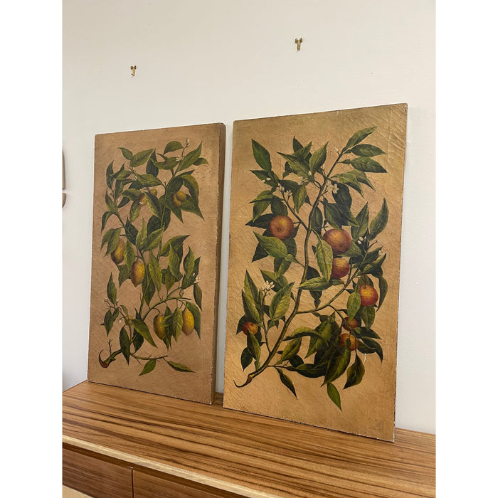 Vintage Pair of Citrus Artwork on Canvas