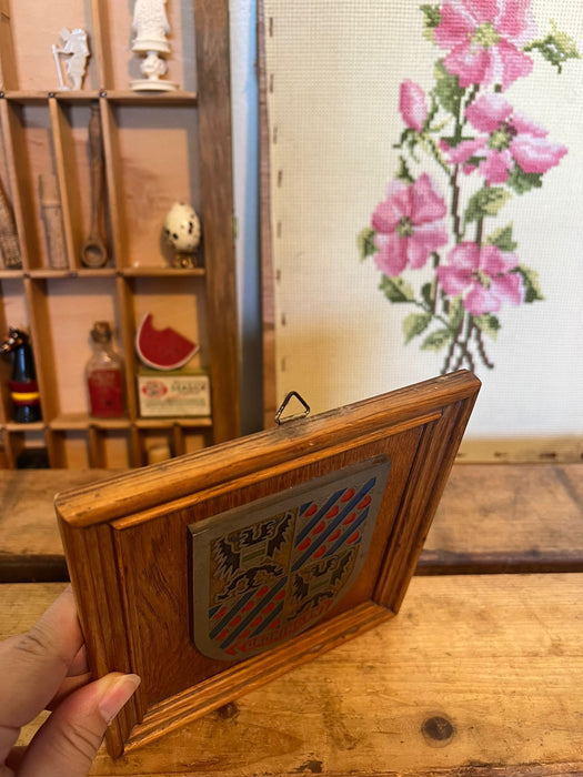 Coat of Arms Groningen Plaque on wood Frame.
