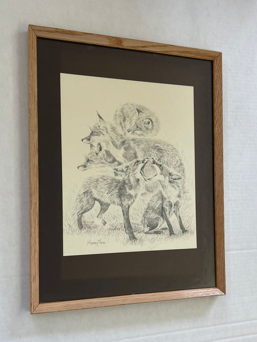 Vintage Framed and Signed Artwork of Foxes.