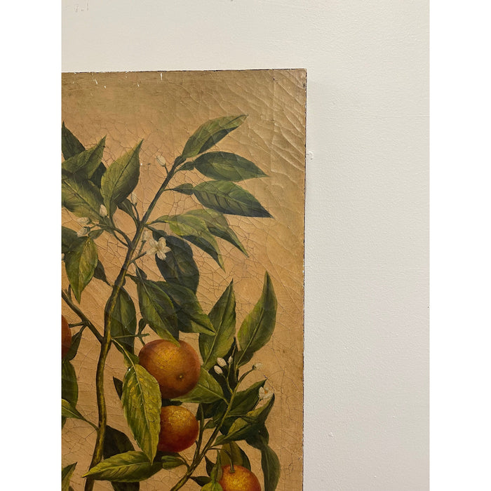 Vintage Pair of Citrus Artwork on Canvas