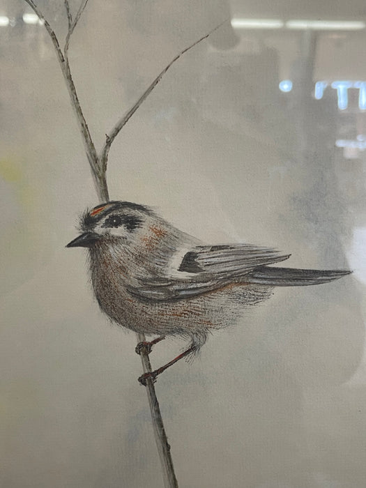 Vintage Framed Bird Illustration with Double Mat and Wood Frame Mixed Media