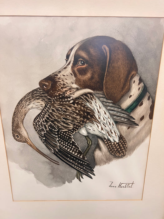 Original Hunting Dog with Foul Watercolor Painting by French Artist and Cartoonist Jean Herblet Signed