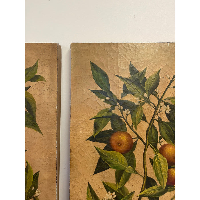 Vintage Pair of Citrus Artwork on Canvas