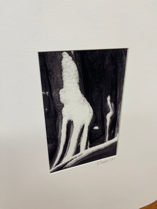 Signed Black and White Photograph "Howling Wolfe" Snow Tree Stump Illusion,
North Bend WA, Dated 2003.