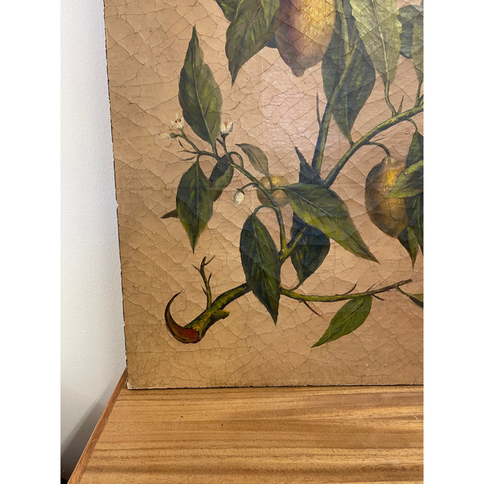 Vintage Pair of Citrus Artwork on Canvas