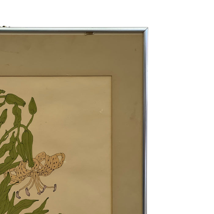 Vintage Botanical Tiger Lily Illustration by Wendy Wheeler, Signed, Framed Floral Art