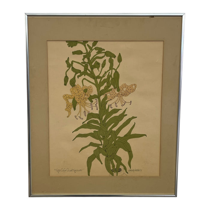 Vintage Botanical Tiger Lily Illustration by Wendy Wheeler, Signed, Framed Floral Art