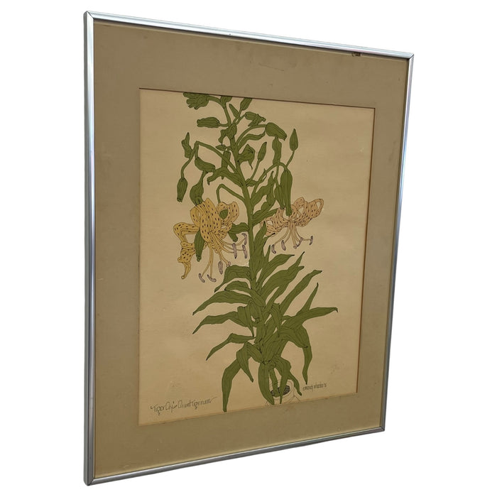 Vintage Botanical Tiger Lily Illustration by Wendy Wheeler, Signed, Framed Floral Art