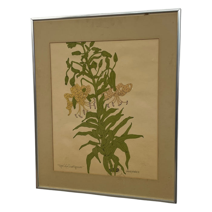 Vintage Botanical Tiger Lily Illustration by Wendy Wheeler, Signed, Framed Floral Art