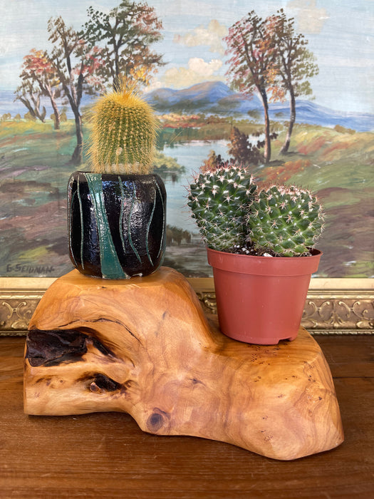 Hand-Carved Live Edge Likely Burl Wood Display Stand or Sculpture Base with Organic Form.