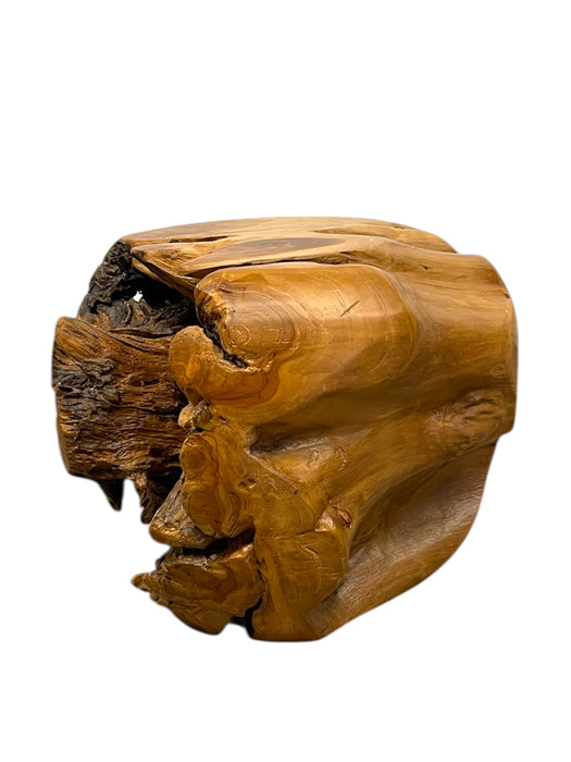 Natural Organic Likely Teak Root Accent Table or Sculptural Display Stand