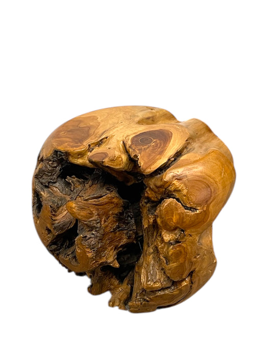 Natural Organic Likely Teak Root Accent Table or Sculptural Display Stand