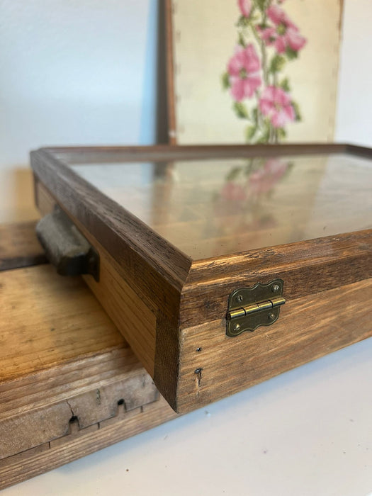 Letter Press Box Trinket Shelf with Glass Door ( online Purchase Only)