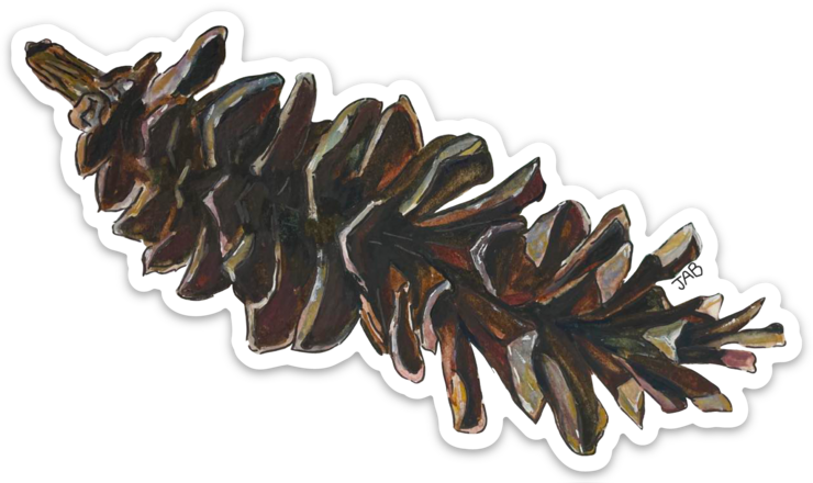Watercolor Botanical Pinecone Die Cut Sticker