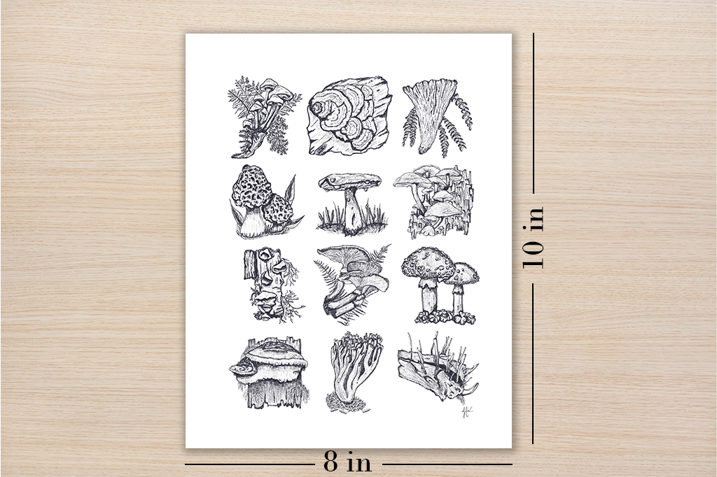 Mushroom Study Art Print Botanical Illustration
