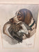 Original Hunting Dog with Foul Watercolor Painting by French Artist and Cartoonist Jean Herblet Signed