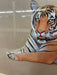 Possibly Mixed media original Tiger Art Piece. Matted and framed in Antique frame.