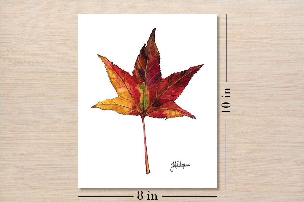 Autumn Leaf Art Print Botanical Watercolor Illustration 8x10