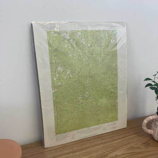 Vintage Central Oregon Geological Topographical State Map.Circa 1955.