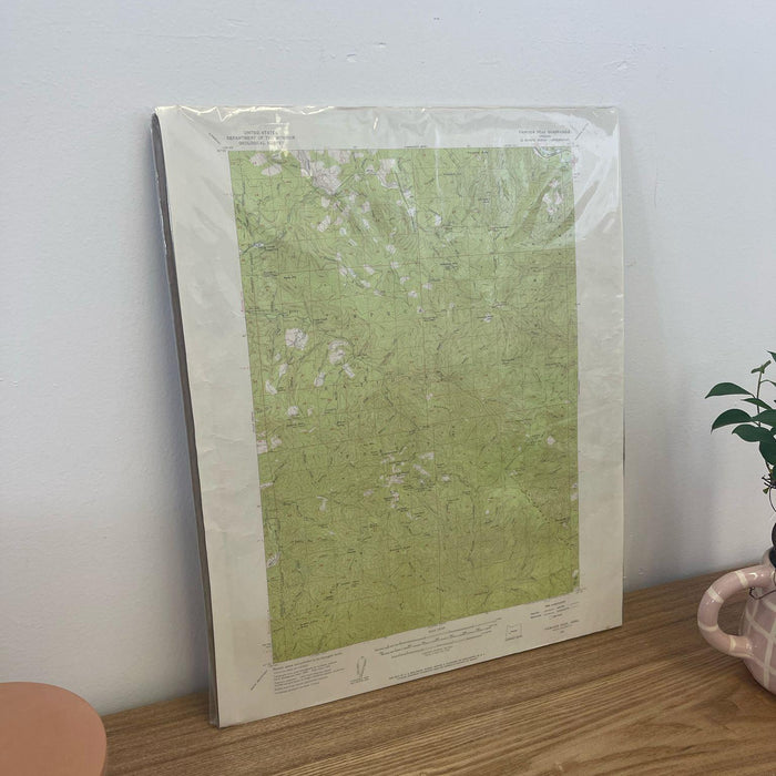 Vintage Central Oregon Geological Topographical State Map.Circa 1955.