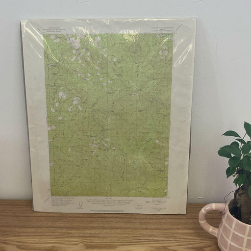 Vintage Central Oregon Geological Topographical State Map.Circa 1955.