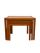 Vintage Danish Mid Century Modern Teak Nesting Tables