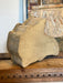 Vintage Fish Shaped Storage Box