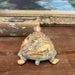 Vintage Hand carved and hand painted wooden Turtle Figurine.