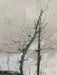 Vintage Impressionist Landscape Likely OilPainting with Ornate Frame