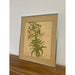 Vintage Original Signed and Framed Artwork Titled, "Tiger Lily"