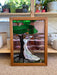 Vintage Stained Glass Art Panel Depicting Woman in Flowing White Dress Beneath Tree with Fruit, Framed in Wooden Oak Toned Frame