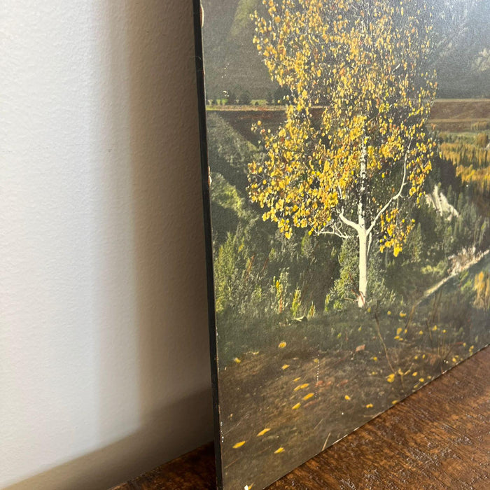 Vintage Tinted photo print