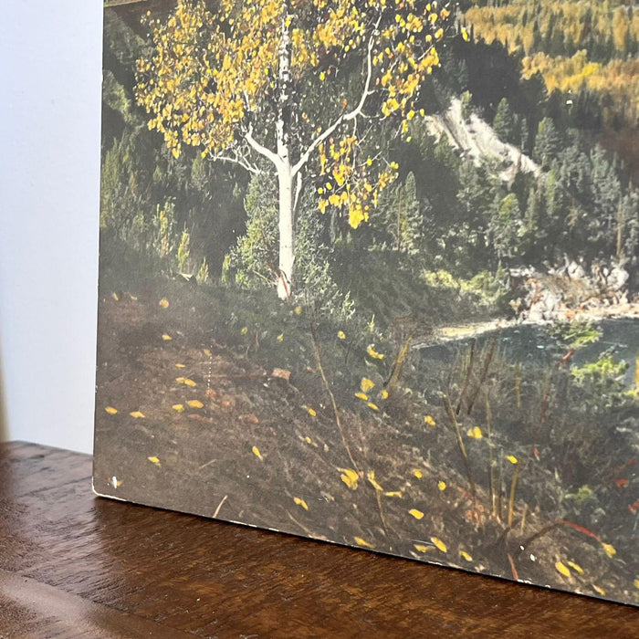 Vintage Tinted photo print