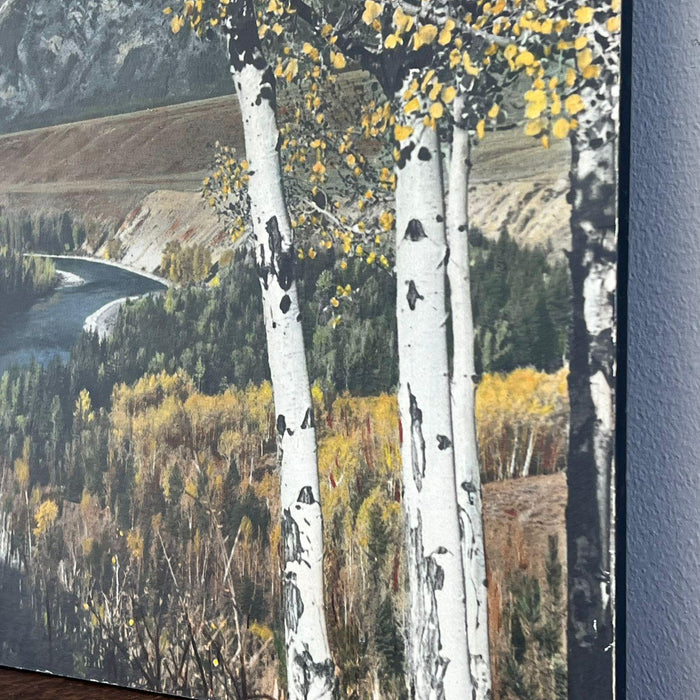 Vintage Tinted photo print