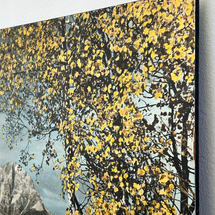 Vintage Tinted photo print