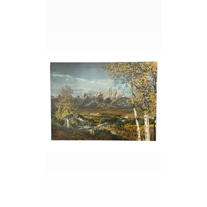 Vintage Tinted photo print