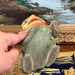 Vintage hand carved and hand painted wooden Frog Figurine